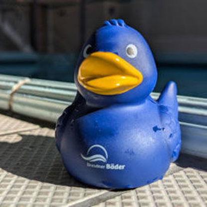 Bild von Badeente blau