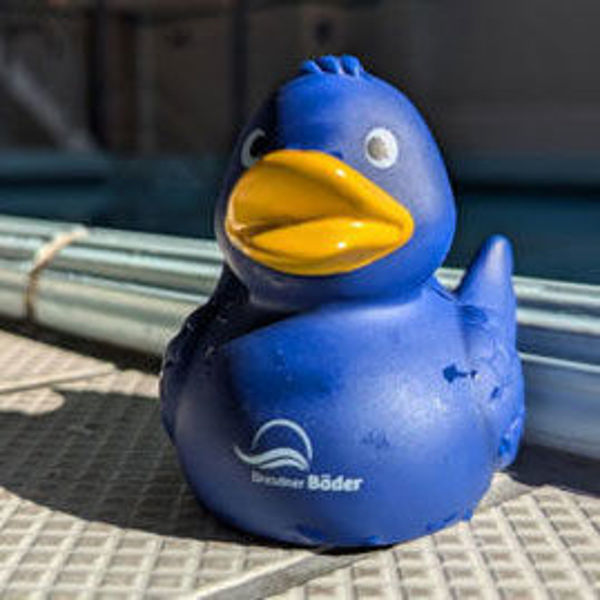 Bild von Badeente blau
