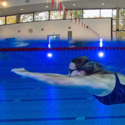 Bild von Erwachsenen-Schwimmlernkurs 10er (Prohlis)