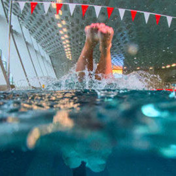 Bild von Jugend-Schwimmkurs „Schwimm dich fit“ (SSK) Freiberger Platz