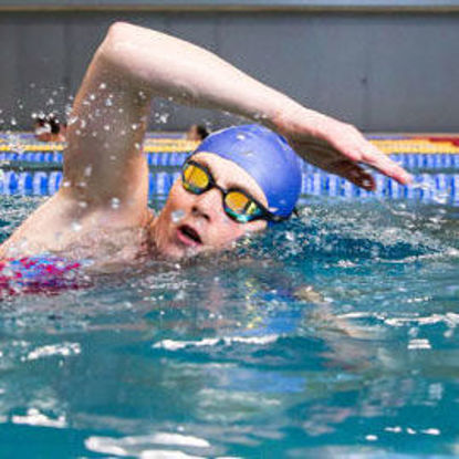 Bild von Kraulkurs Erwachsene 5er (Prohlis)